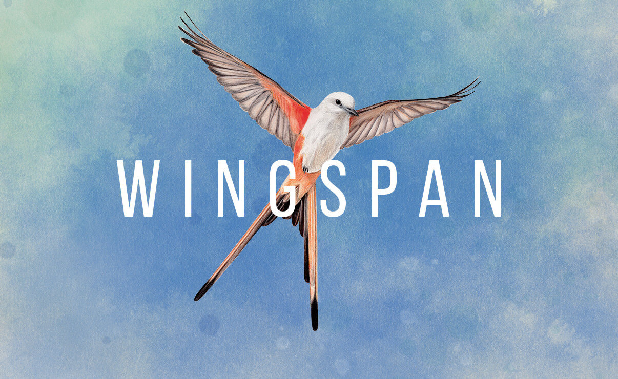 wingspancoverart